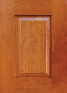 Cabinet Door 5